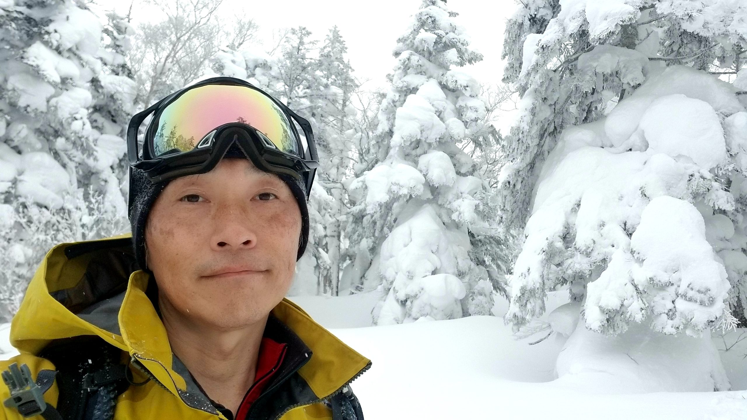 カーオーディオ 初心者が 最短 格安 Diyで高音質を目指すまとめ Tyuruの暇つぶし